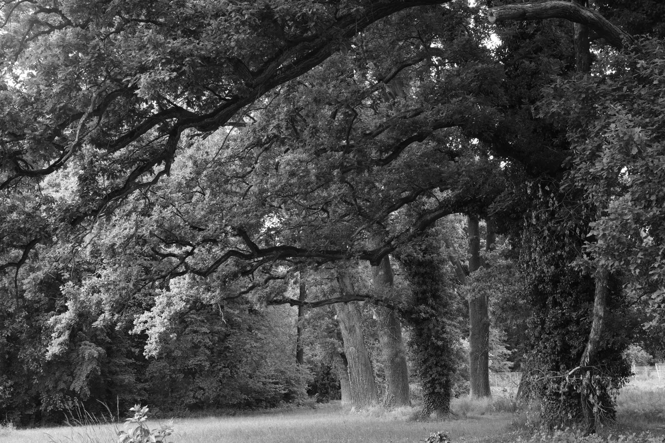 Der Schlosspark
