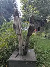 Zwei Brüder
