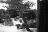 Japan in Ferch