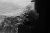 Japan in Ferch