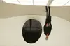 Anish Kapoor 
